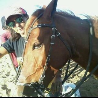 Profile Picture of Sandra Anselmo (@sandra.anselmo.129) on Facebook