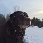 Profile Picture of Andrée Brasseur (@andreeb67) on Instagram