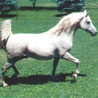 Profile Picture of Nancy Hall (@nancy.hall.9421) on Facebook