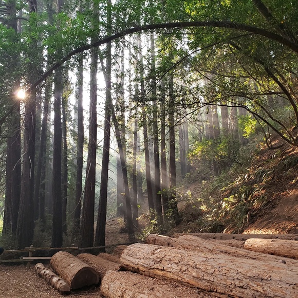 Profile Picture of Amanda Booker (@aneyeforafind) on Poshmark