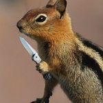 Profile Picture of John Cheetham (@johncheetham) on Instagram