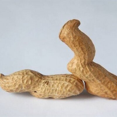 Profile Picture of Garry Weaver (@@GarryWeaver) on Twitter