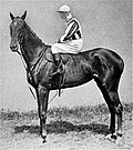 Profile Picture of Perola (horse)on Wikipedia