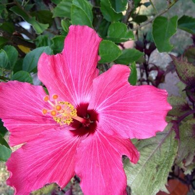 Profile Picture of Diane Holt (@dianeholt122262) on Twitter