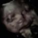 Profile Picture of Mary Paxton Argo (@marykayargo) on Pinterest