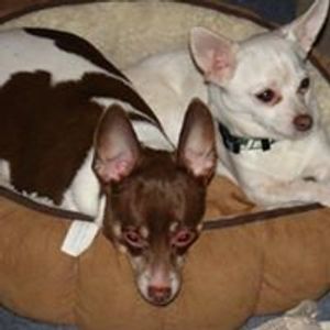 Profile Picture of Beverly Cunningham (@beverly.cunningham.501) on Myspace