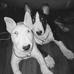 Profile Picture of Georgia (@georgialeahmulvey) on Instagram