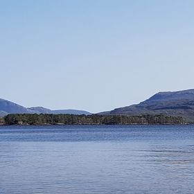 Profile Picture of Martin Prater (@martinmiche0578) on Pinterest