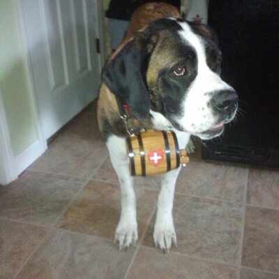 Profile Picture of Daniel Lafreniere (@Danl1977Dl) on Twitter