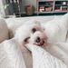 Profile Picture of Alex Toole (@alexandraedennn) on Pinterest