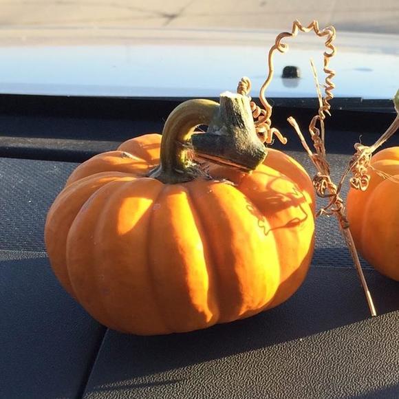 Profile Picture of Cindy Sparwasser (@csparwassr) on Poshmark