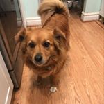 Profile Picture of Vincent Jung (@viggy748) on Instagram