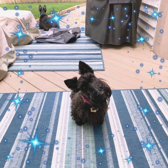 Profile Picture of Molly Andrews-carrico (@mollandr) on Poshmark