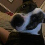 Profile Picture of kyle jago (@jagokyle) on Instagram