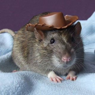 Profile Picture of Leah Jorgensen (@leah.jorgensen.739) on Facebook