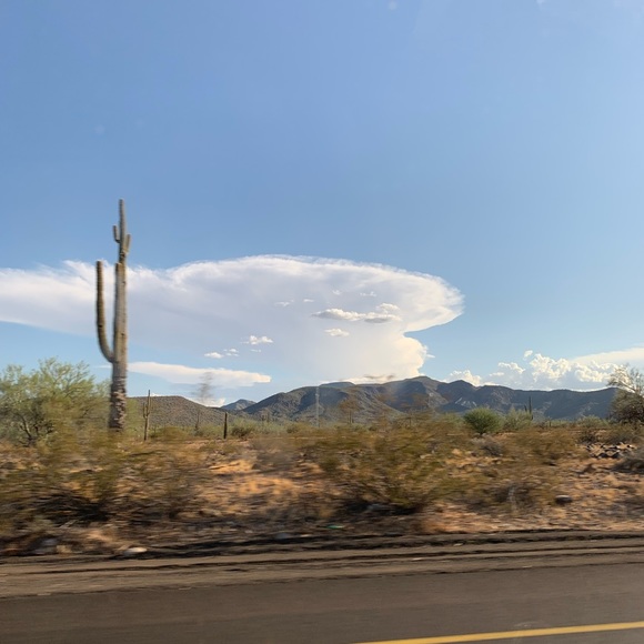 Profile Picture of Amelia Daitch (@ameliasells391) on Poshmark