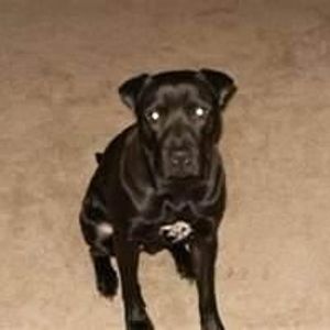 Profile Picture of Chris Burruel (@272956068) on Myspace