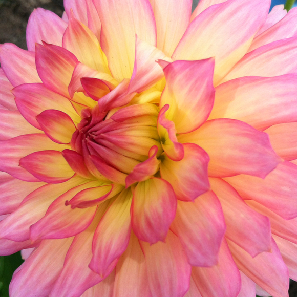 Profile Picture of Choo Danby (@choo) on Poshmark