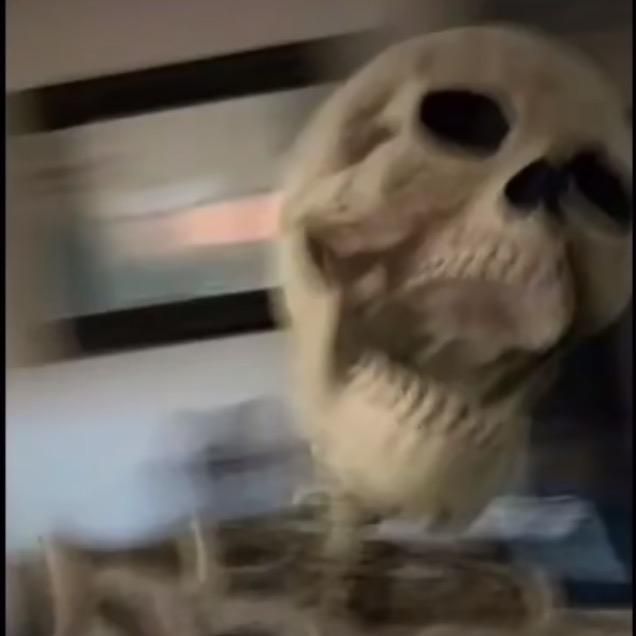 Profile Picture of labenz tik tok lol (@davidlabenz) on Tiktok