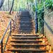 Profile Picture of Robert Menge (@menge073) on Pinterest