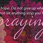 Profile Picture of Pat Sherman (@patsherman3b) on Instagram