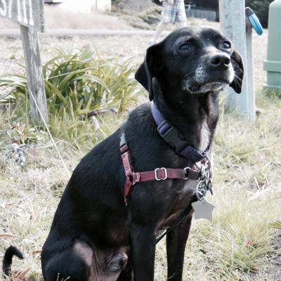 Profile Picture of Kevin Oconnor (@kevinoconnor) on Twitter