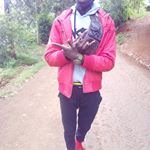 Profile Picture of Alex njeru (@njeru713) on Instagram