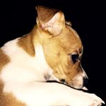 Profile Picture of Dave Peake (@dpeake19) on Instagram