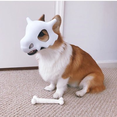 Profile Picture of Eric Qiu (@EricQiu4) on Twitter