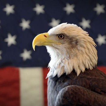 Profile Picture of James Fontaine (@jamesfontaine13) on Twitter