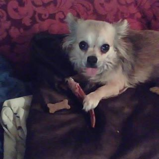 Profile Picture of Keith Bond (@Keith-Bond) on Facebook