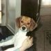 Profile Picture of Cindy Wickizer (@cindywickizer) on Pinterest