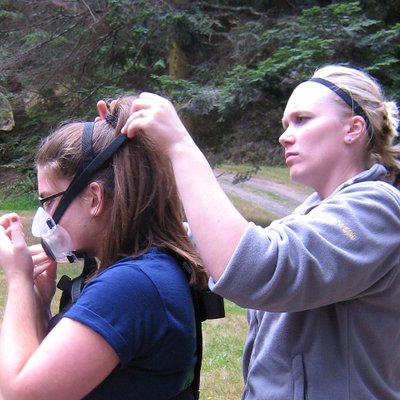 Profile Picture of Cara Scheffler (@WallScheffler) on Twitter