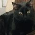 Profile Picture of James T. Brentlinger (@James-T-Brentlinger) on Facebook