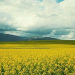 Profile Picture of Peggie Grohmann (@pegtgie_grohmann) on Instagram