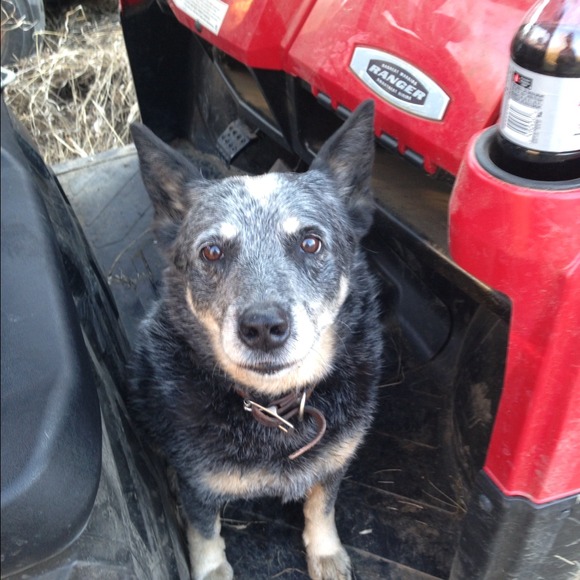 Profile Picture of Johnna Varty (@jlynnvarty) on Poshmark