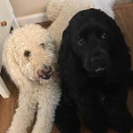 Profile Picture of Todd Hafner (@hafnertodd) on Instagram