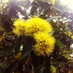 Profile Picture of Ian Givens (@jimdonchi) on Instagram