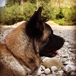 Александр Мищенко - Instagram Profile Picture of Александр Мищенко (@alexandr_mischenko) on Instagram