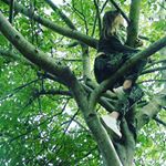 Profile Picture of Alice Kirby (@_alice_arty_photo_account_xox) on Instagram