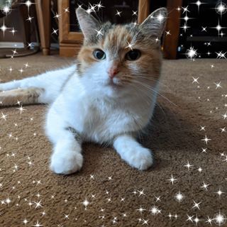 Profile Picture of Flo Gary Morris (@Flo-Gary-Morris) on Facebook