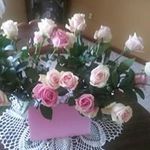 Profile Picture of Beverly Quaderer (@beverlyquaderer) on Instagram