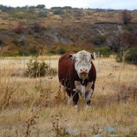 Profile Picture of byronwesley502 (@byronwesley502) on Tiktok