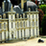 Profile Picture of Jacques_pierre (@jacques_pierre) on Flickr