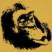 Profile Picture of Robin Sauve (@robinsauve1396) on Youtube