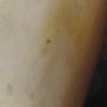 Profile Picture of Tricia Moore (@triciamoore5) on Flickr