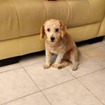 Profile Picture of Kelvin Yee (@kelvinyee53) on Instagram