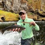 Profile Picture of Michael Standring (@michaelstandring) on Instagram