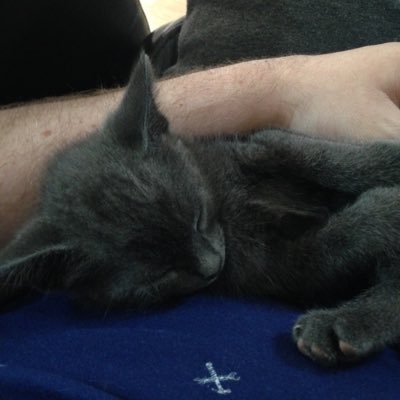 Profile Picture of Chris Ure (@accsallen) on Twitter