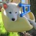 Profile Picture of Paige Swenson (@paiger525) on Pinterest
